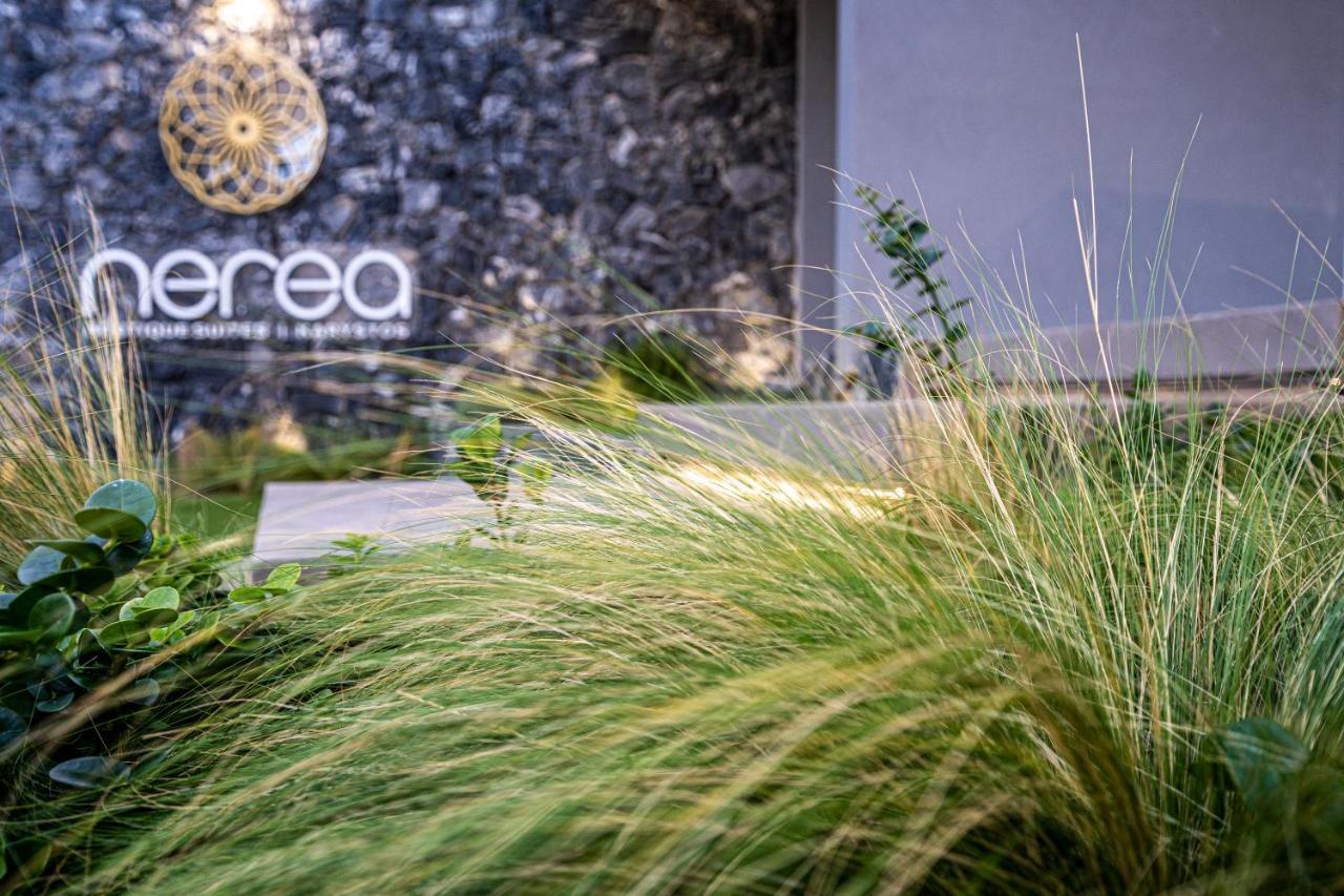 Nerea Boutique Suites Karystos Екстериор снимка